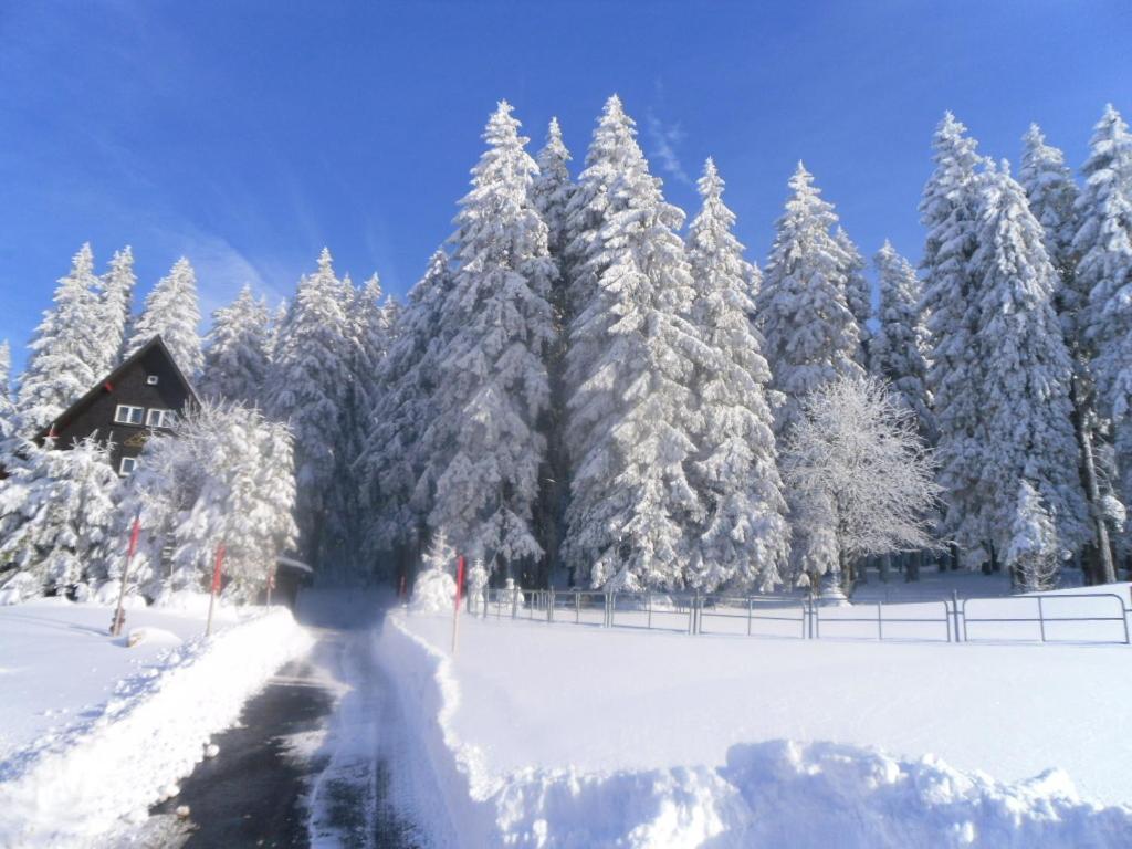 Hotel Landgasthaus Gemsennest Feldberg  Zewnętrze zdjęcie