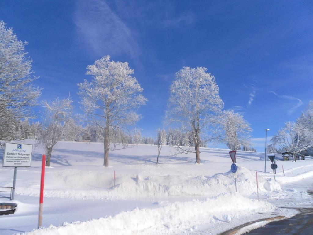 Hotel Landgasthaus Gemsennest Feldberg  Zewnętrze zdjęcie