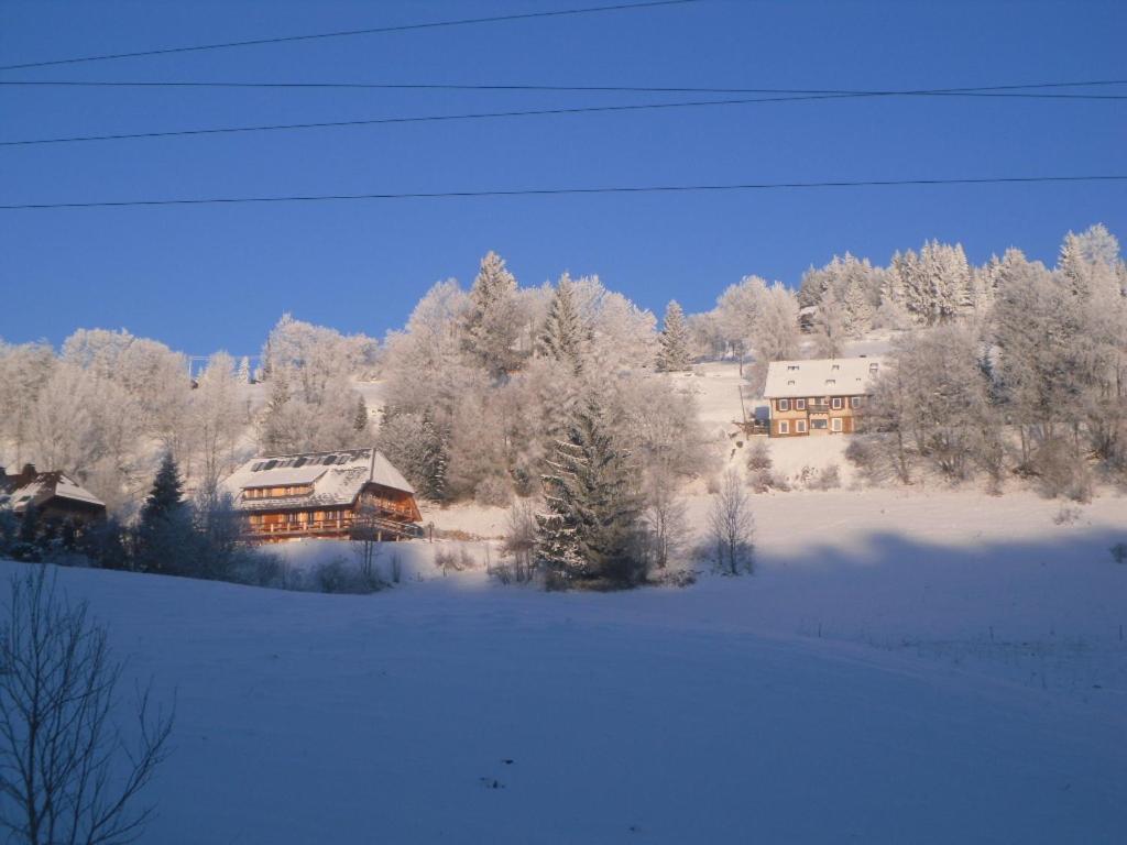 Hotel Landgasthaus Gemsennest Feldberg  Zewnętrze zdjęcie