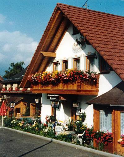 Hotel Landgasthaus Gemsennest Feldberg  Zewnętrze zdjęcie