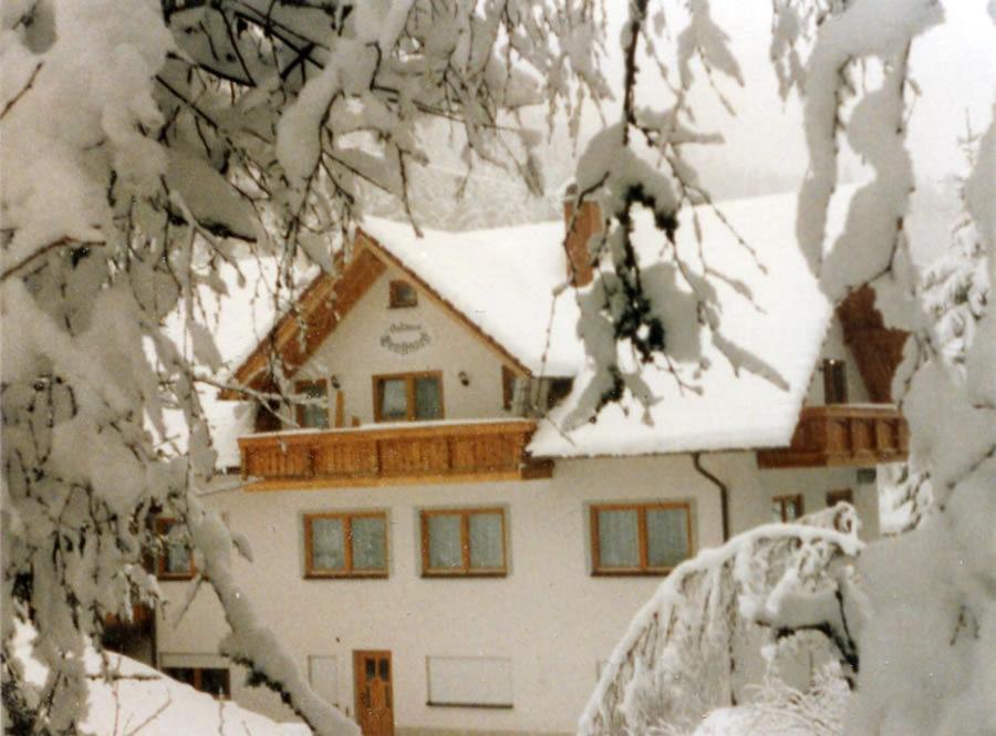 Hotel Landgasthaus Gemsennest Feldberg  Zewnętrze zdjęcie