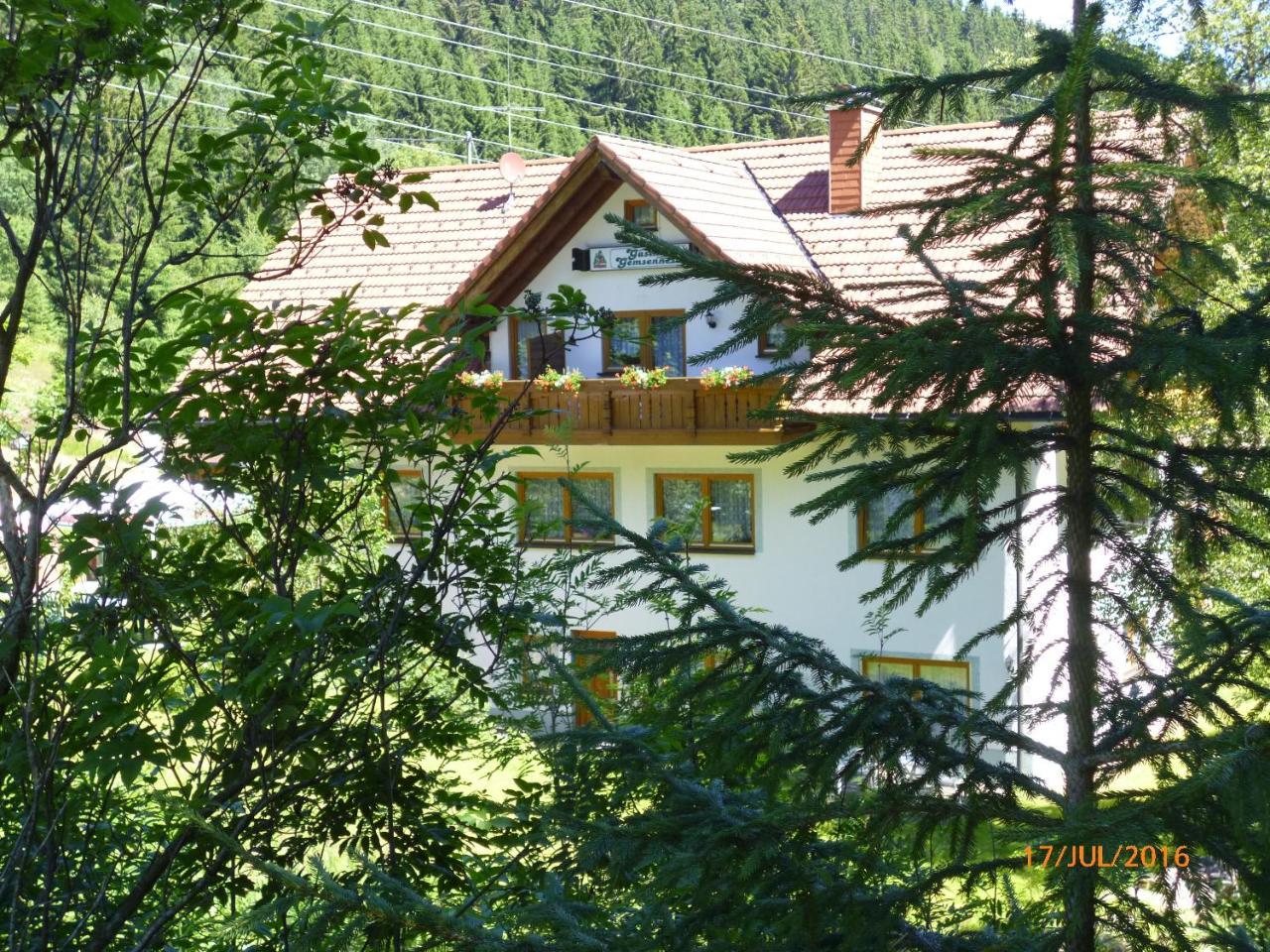 Hotel Landgasthaus Gemsennest Feldberg  Zewnętrze zdjęcie